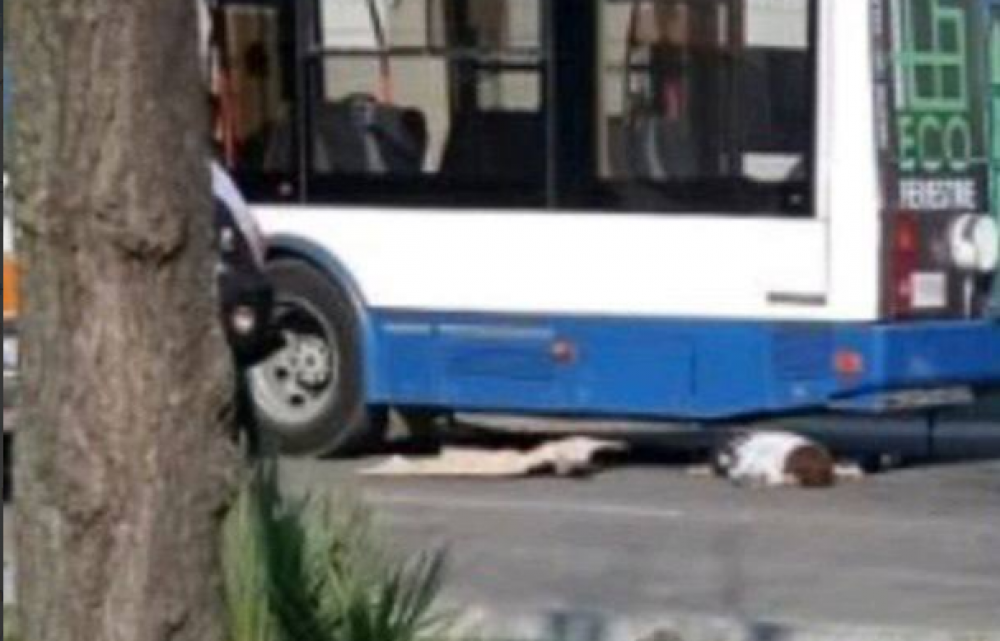 Noi detalii despre accidentul care a luat viața unei copile de 12 ani. Cine era la volanul troleibuzului
